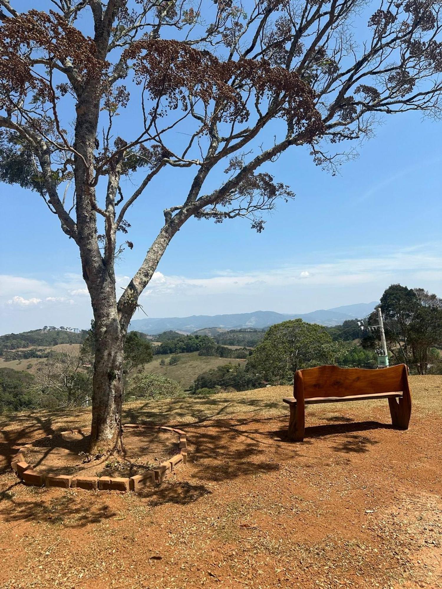 Chale Dom Julio 2 Villa Santo Antônio do Pinhal Dış mekan fotoğraf
